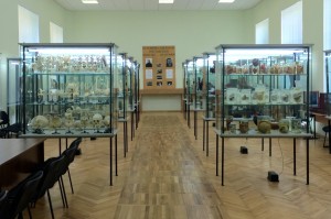 Анатомический музей РостГМУ